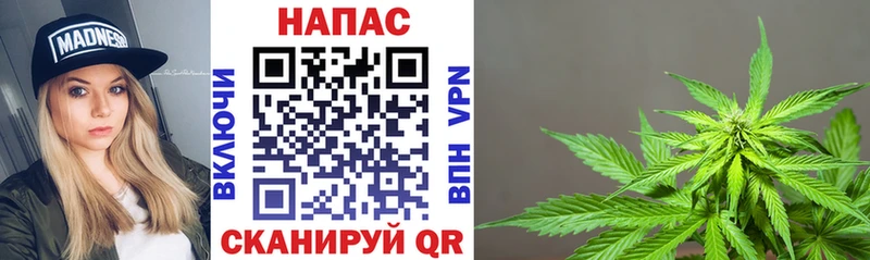 как найти закладки  Фрязино  Канабис планчик 